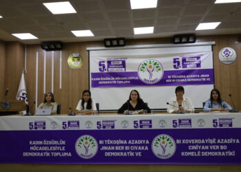 Jinan li Wanê bi rojeva kongreya giştî ya DEM Partiyê konferans li dar xist