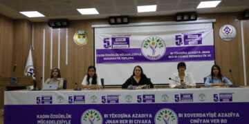 Jinan li Wanê bi rojeva kongreya giştî ya DEM Partiyê konferans li dar xist