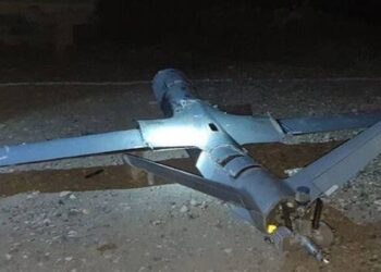 Li Bexdayê dronek hat xistin