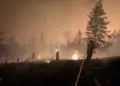 Kanada de şewatê daristanan ver 20 hezar kesî ameyî texlîye kerdene