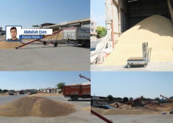 Elafên Êlihê: Hemaltiyê em dikin dewlet û bazirgan qezenc dikin
