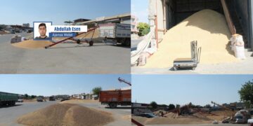 Elafên Êlihê: Hemaltiyê em dikin dewlet û bazirgan qezenc dikin