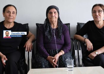 Seba ke mezelê lajê xo bivîno, Fransa ra ameye Şirnex