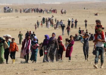 KCKê ji bo Şengalê bang kir: Divê mirovahî bi berpirsyariyê rabe