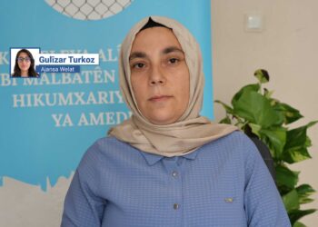 Emîne Kaya: Heta hişmendî neguhere, guhertina zagonan têrê nake