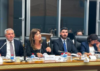 Meral Daniş Beştaş: Dor hatiyê ku em gelên bindest jî di deriye hiqûqê de derbas bibin