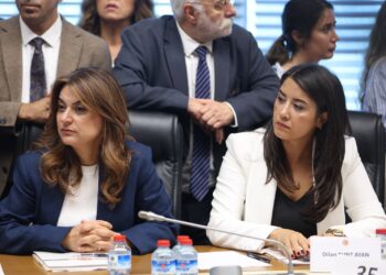 Dîlan Kunt Ayan: Divê di komîsyonan de temsileyeta wekhev a jinan jî cih bigire