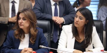 Dîlan Kunt Ayan: Divê di komîsyonan de temsileyeta wekhev a jinan jî cih bigire