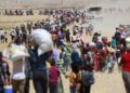 Meclîsê Cînîyan ê DEM Partî: Ma do seba statuyê Şengalî têkoşînê xo berz bikerê