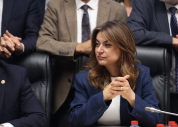 Gulistan Kiliç Koçyîgît: Pirsgirêka Kurd ji sêdarê, îro hatiye zemîneke demokratîk 