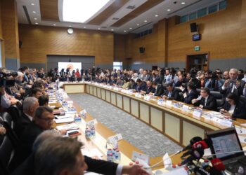 Endamê Komîsyonê yê CHPê Ozer: Ji bo aştiya mayinde demokratîkbûyin hewceye