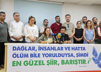 Platforma Ked û Demokrasiyê ya Amedê: Hêza ku aştiyê pêk bîne têkoşîna me ya hevpar e