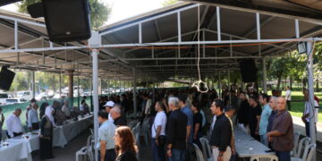 Amed de seba 49 cangorîyan şîn ame ronayene