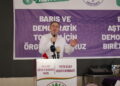 Otomatik taslak