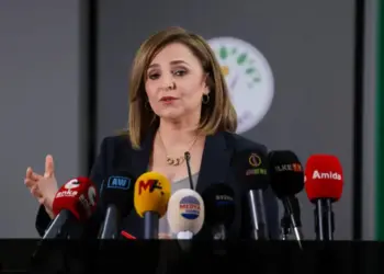 Dogan: Ganî seba rayraberdişê prosesî birêz Ocalan bieşko rolê xo kay bikero