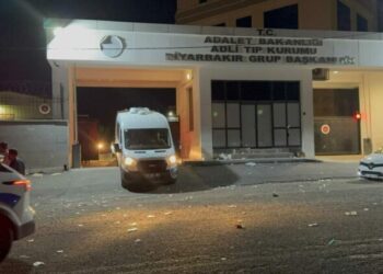 Licê de pêrodayîşê mabênê di keyeyan de cinîyêka ciwane ameye kiştene