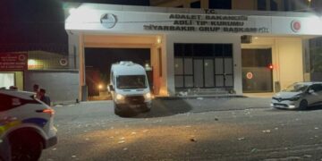 Licê de pêrodayîşê mabênê di keyeyan de cinîyêka ciwane ameye kiştene