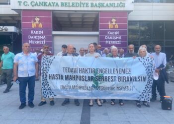 Divê girtiya nexweş Fatma Tokmak demildest bê berdan