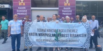 Divê girtiya nexweş Fatma Tokmak demildest bê berdan