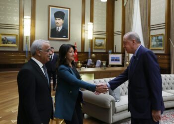 Heyeta DEM Partiyê bi Serokkomar re civiya