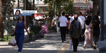 Welatiyên Wanî: Divê qanûn di pratîkê de jî bê sepandin