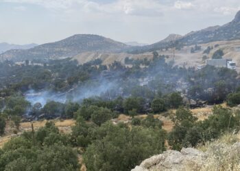 Li Şirnexê agir bi daristanê ket