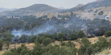 Li Şirnexê agir bi daristanê ket
