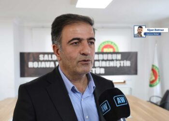 Mehmet Kamaç: Qanûn dê bibe mifteya çareserkirina pirsgirêka Kurd