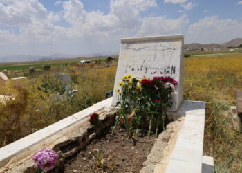 MKG û DFG’yî Denîz Firate serê mezelê aye de vîr arde