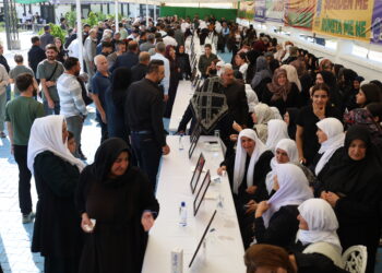 Şîna ji bo cangoriyan li Wanê dest pê kir