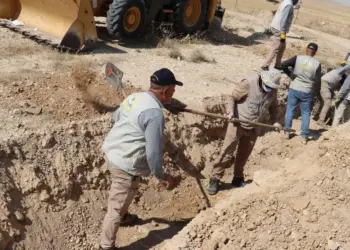 Hestiyên di gora komî ya Şerfedînê de hatin derxistin