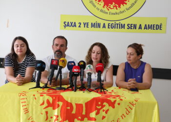 Egîtîm-Sen: Divê perwerdeya zimanê zikmakî bi qanûnan bê mîsogerkirin