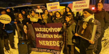Tehqîqatê Gulistan Doku: Mabênê beyanê 176 kamerayan û dîmenanê Sarı Saltukî de nakokî