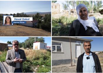Çewlîg de problemê mezra Alavûze: Dewlete xizmet nêkena çike ma DEM Partî ra yê