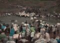 Ji serê salê ve Îran 12 kolberên Kurd û 13 kasibkarên Belûç qetil kiriye