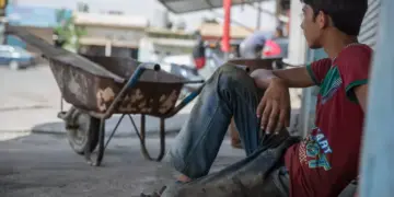 Qetilkerdişê karî: Her aşme de nêzdîyê 8 domanî cuya xo ra benê