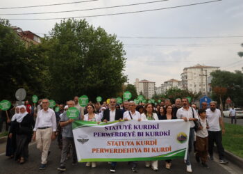Li Êlih, Amed û Dîlokê meş: Statuya Kurdî, perwerdehiya bi Kurdî