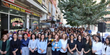 Cinîyan veng da: Çîyo ke vernîya qirkerdişê cinîyan bigîro, komelo rêxistinkerde yo