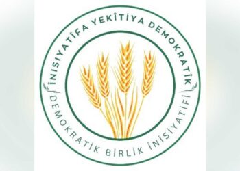 ‘Herinda derbeyî bi wedaritişê destûrê bingeyîn ê 82î mumkin o’