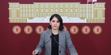 Newroz Uysal Aslan: Bila astengiyên li pêşiya Kurdî bên lêkolînkirin