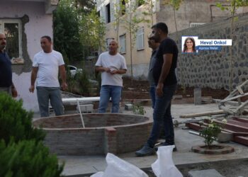 Peyas de seba problemanê komelî Meclîsê Şarî awan beno