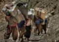 Rejîma Îranê 13 kolber kuştin