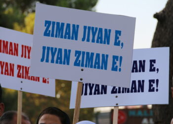 ZIMANGER: Pêwîste ku zimanê Kurdî di makezagonê de cih bigire