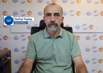 ‘Daxwaza xizmetên tenduristiyê ya bi zimanê dayikê mafekî jiyanî ye’