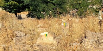 Goristana Şehîd Binevş a li Gabarê rastî êrîşê hat