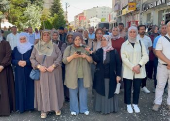 DEM Partiyê bertek nîşan da: Qeyimê Wanê rêyên Erdîşê çênake