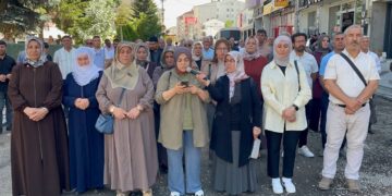 DEM Partiyê bertek nîşan da: Qeyimê Wanê rêyên Erdîşê çênake