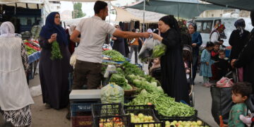 Wanijî: Semedê vayî ra ma çîyan bi deyn gênê