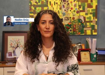 Demîr: Hikûmeta Şamê dixwaze Rojava li gorî qanûnên Rejîma Baasê bi rê ve bibe