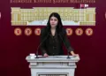 Berîtan Guneş Altin: Şima do vîndîyê erdlerzî bigêrê yan ney?